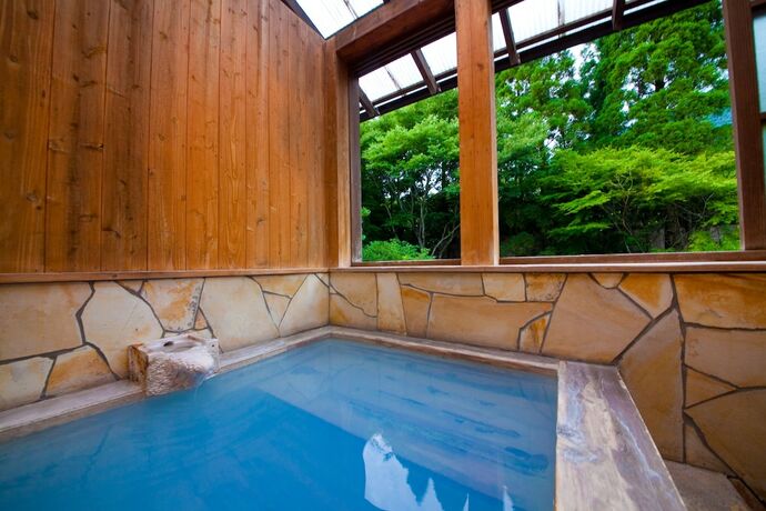 Imagen de la habitación del Hotel Morinoyu Yufuin Yasuha. Foto 15