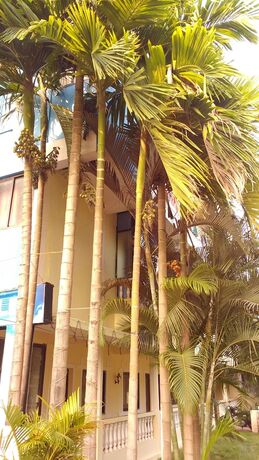 Imagen general del Hotel Morjim Bay Resort. Foto 4