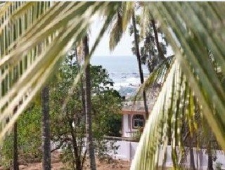 Imagen general del Hotel Morjim Resort. Foto 2