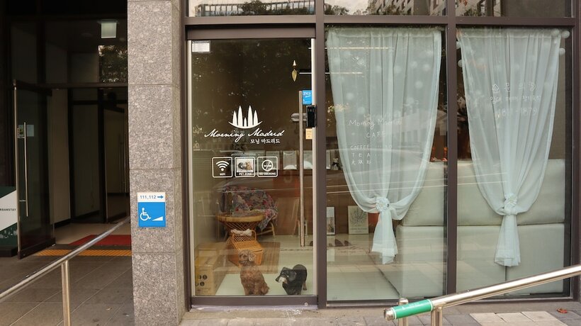 Imagen general del Hotel Morning Madrid. Foto 5