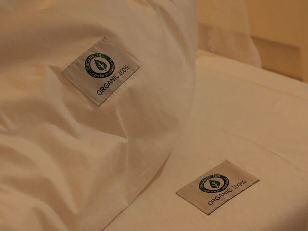 Imagen general del Hotel Morning Madrid. Foto 8