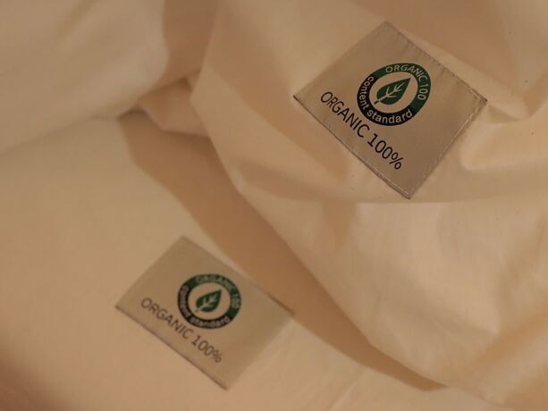 Imagen general del Hotel Morning Madrid. Foto 12