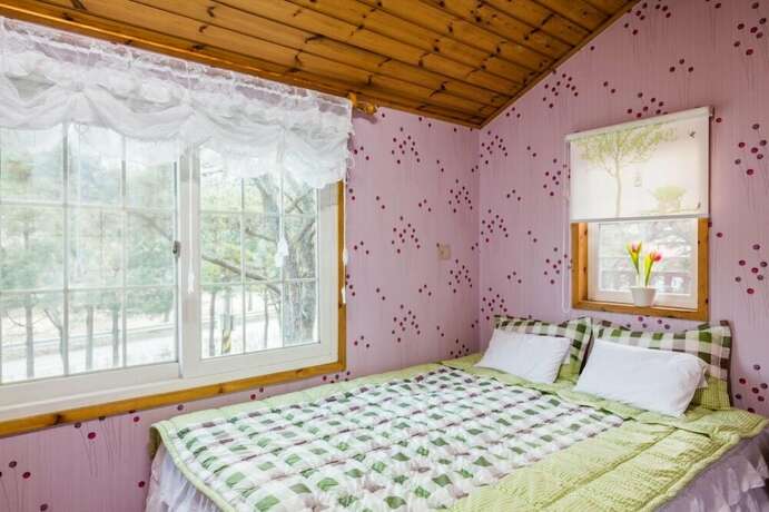 Imagen general del Hotel Morning Palace. Foto 11