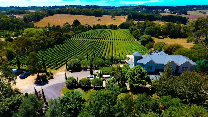 Imagen general del Hotel Morning Sun Vineyard. Foto 1
