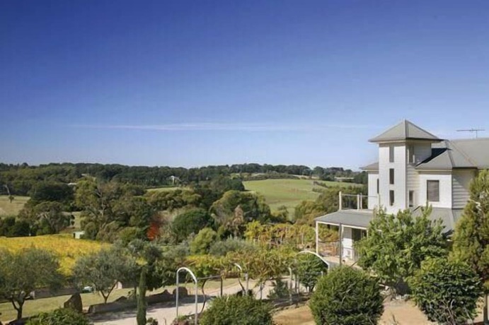 Imagen general del Hotel Morning Sun Vineyard. Foto 2