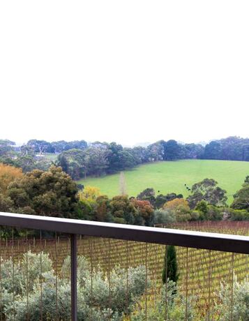 Imagen general del Hotel Morning Sun Vineyard. Foto 3