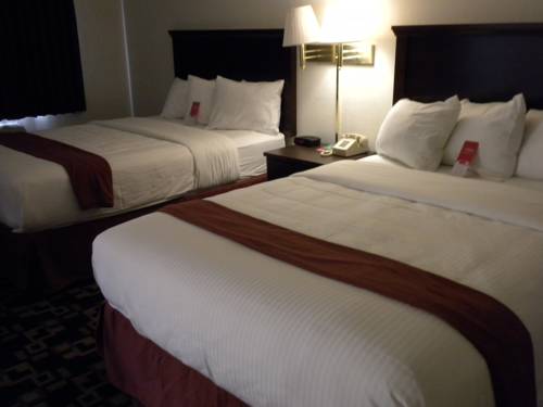 Imagen de la habitación del Hotel MorningGlory Inn and Suites. Foto 3