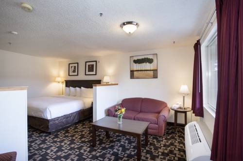 Imagen de la habitación del Hotel MorningGlory Inn and Suites. Foto 4