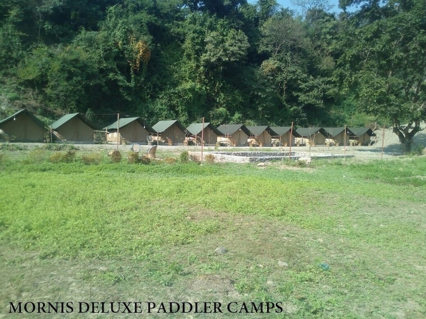 Imagen de la habitación del Hotel Mornis Camp and Resort. Foto 9