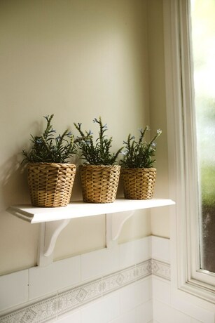 Imagen de la habitación del Hotel Morpeth Cottage. Foto 6