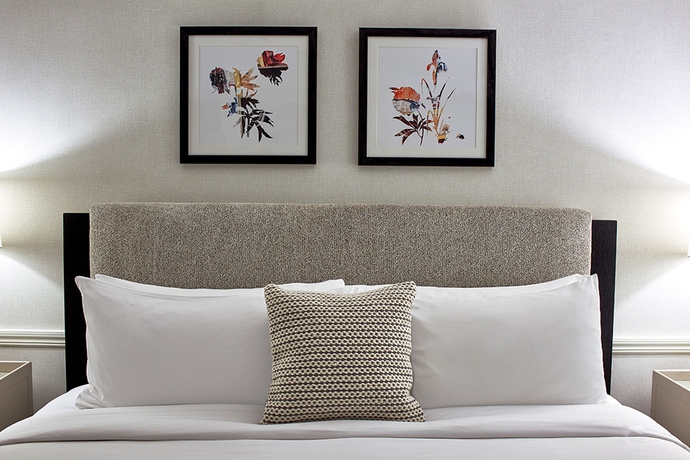 Imagen de la habitación del Hotel Morrison House Old Town Alexandria, Autograph Collection. Foto 8