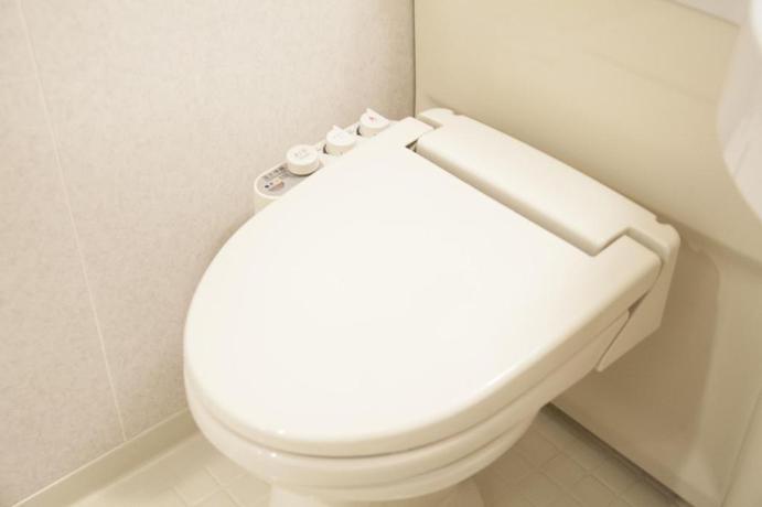 Imagen de la habitación del Hotel Morschein, Matsumoto. Foto 17