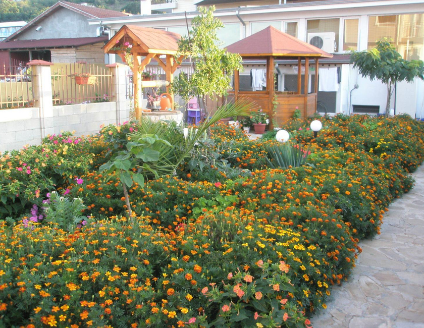 Imagen general del Hotel Morski Dar. Foto 8