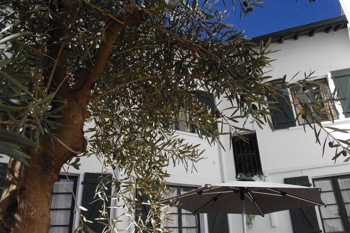 Imagen de los exteriores del Hotel Mosaikhotel. Foto 15