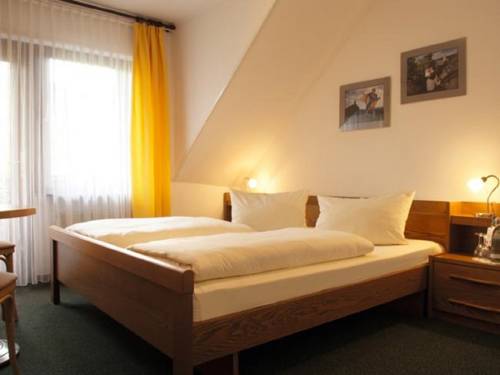 Imagen de la habitación del Hotel Moselstern-hotel 'zum Guten Onkel'. Foto 8