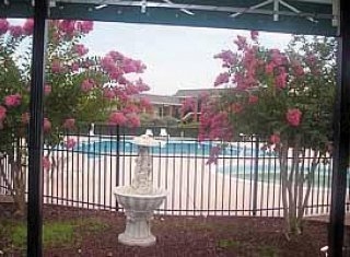Imagen de la piscina del Hotel Motel 6 Governors House. Foto 5