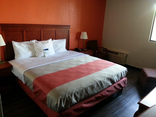 Imagen de la habitación del Hotel Motel 6 Jackson, Tn, Jackson. Foto 4