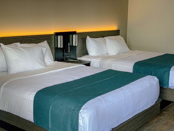 Imagen de la habitación del Hotel Motel 6 Louisville, KY - Airport - Fair Expo. Foto 5