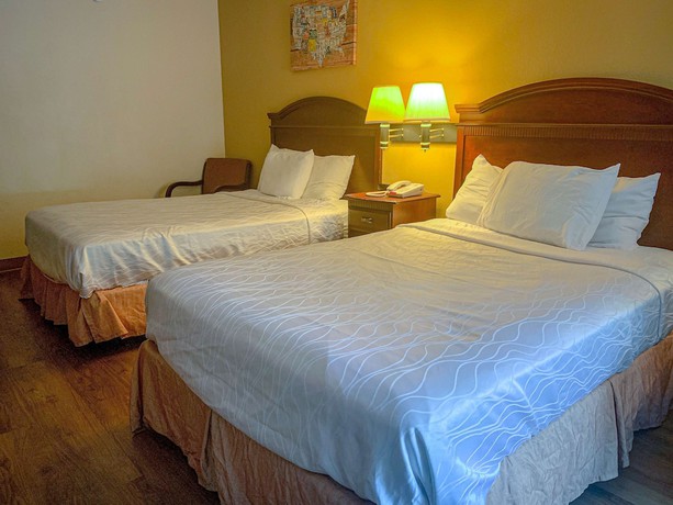 Imagen de la habitación del Hotel Motel 6 Morgantown, Wv. Foto 7