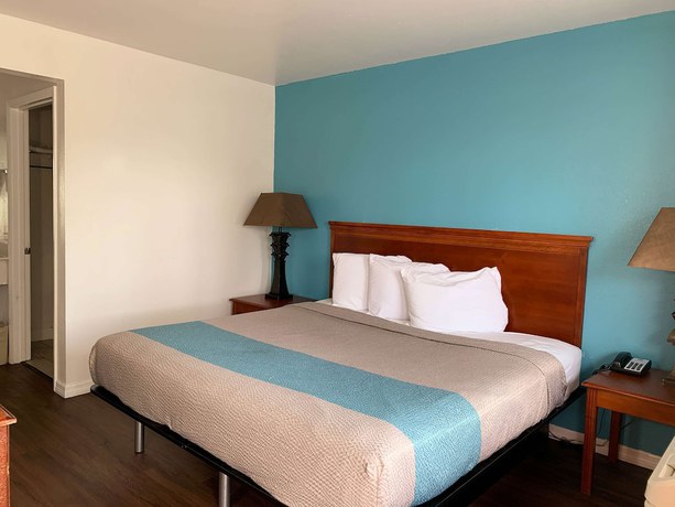Imagen de la habitación del Hotel Motel 6 Tampa, FL. Foto 8