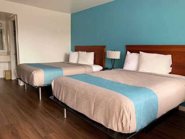 Imagen de la habitación del Hotel Motel 6 Tampa, FL. Foto 13