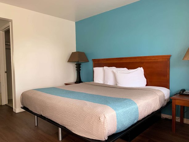 Imagen de la habitación del Hotel Motel 6 Tampa, FL. Foto 15