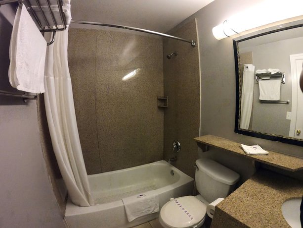 Imagen de la habitación del Hotel Motel 6 Toms River, NJ - Near Seaside Heights. Foto 5