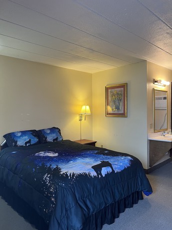 Imagen de la habitación del Hotel Motel Boutique by Wolf Inn. Foto 11