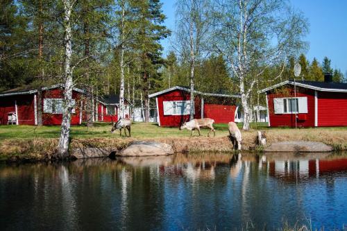 Imagen de los exteriores del Hotel Motelli Rovaniemi. Foto 7