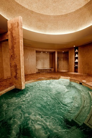 Imagen de la piscina del Hotel MotorCity Casino. Foto 20