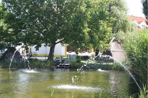 Imagen general del Hotel Mörbischerhof. Foto 7