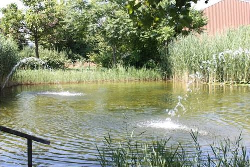 Imagen general del Hotel Mörbischerhof. Foto 8