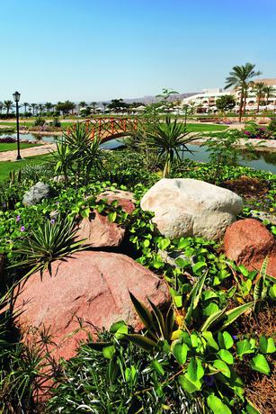 Imagen de la habitación del Hotel Mövenpick Resort Taba. Foto 9