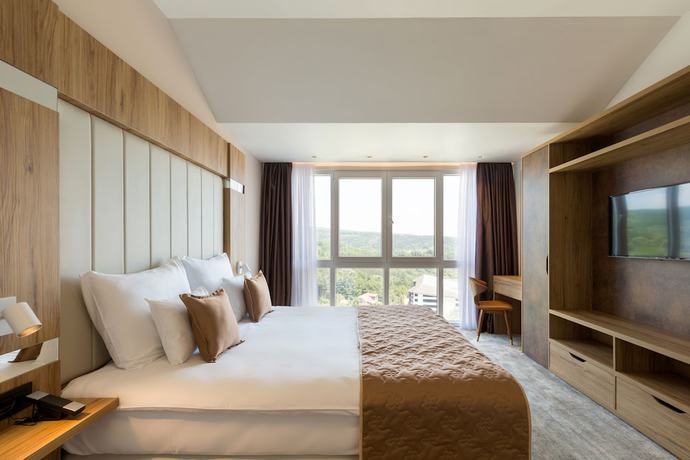 Imagen de la habitación del Hotel M&ouml;venpick Resort and Spa Fruske Terme. Foto 3