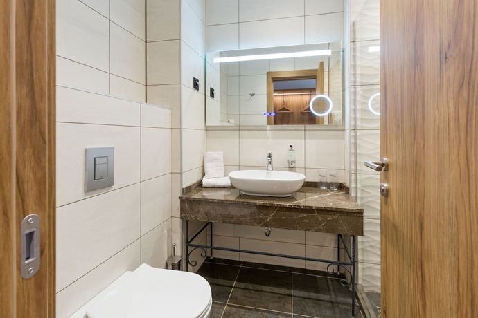 Imagen de la habitación del Hotel M&ouml;venpick Resort and Spa Fruske Terme. Foto 11