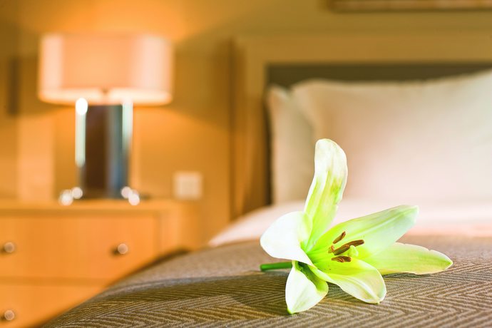 Imagen de la habitación del Hotel Mövenpick Suriwongse Chiang Mai. Foto 13