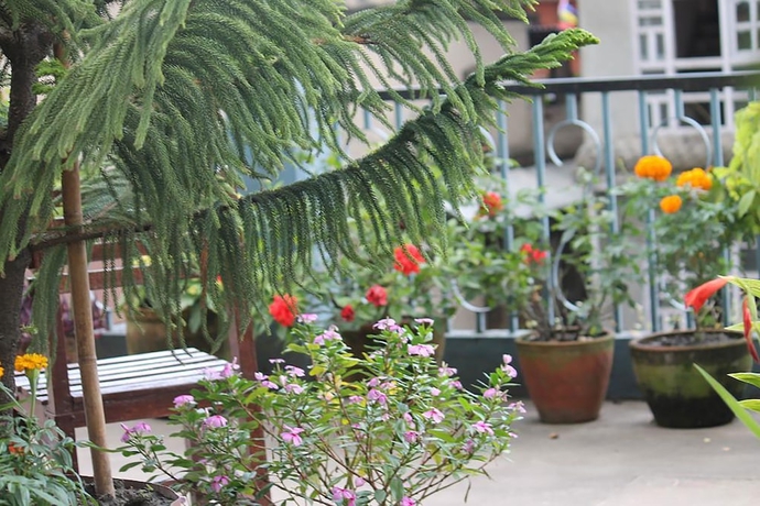 Imagen general del Hotel Mount Annapurna Guest House. Foto 1