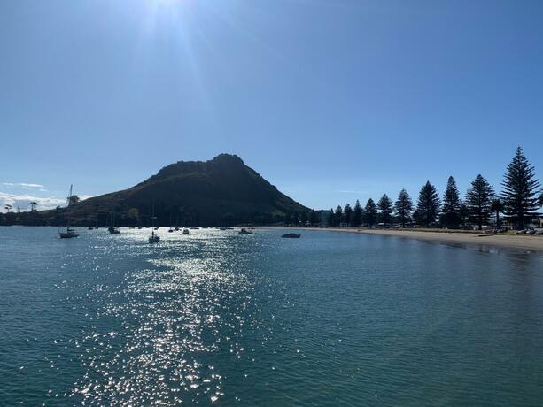 Imagen general del Hotel Mount Backpackers. Foto 8