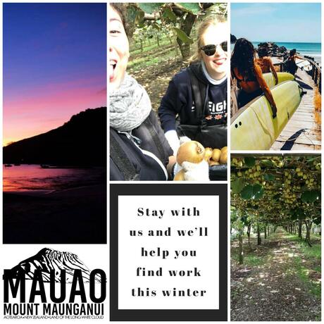 Imagen general del Hotel Mount Backpackers. Foto 28