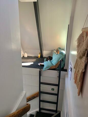 Imagen general del Hotel Mount Backpackers. Foto 29