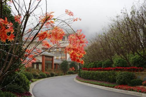 Imagen general del Hotel Mount Huang Taiping Lake Arcadia Shining. Foto 6