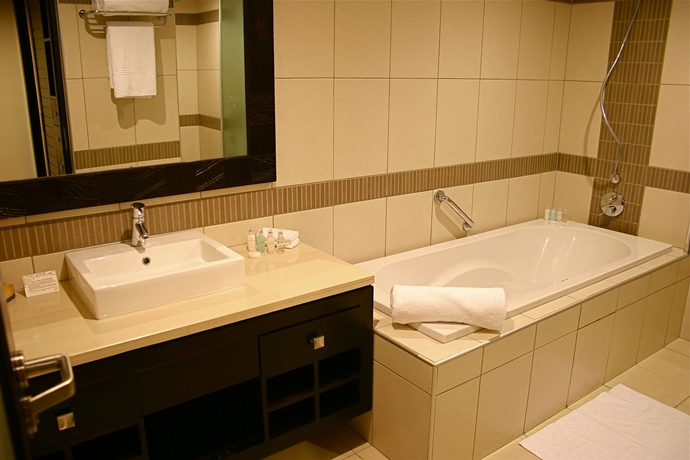 Imagen de la habitación del Hotel Mount Meru. Foto 12