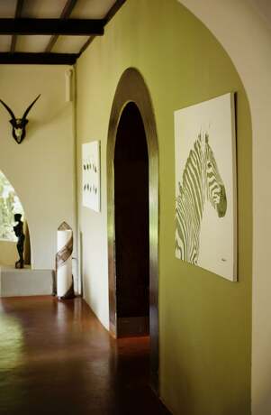 Imagen general del Hotel Mount Meru Game Lodge. Foto 3