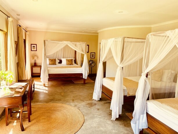 Imagen general del Hotel Mount Meru Game Lodge. Foto 4