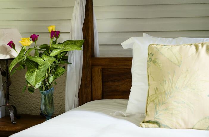 Imagen general del Hotel Mount Meru Game Lodge. Foto 9