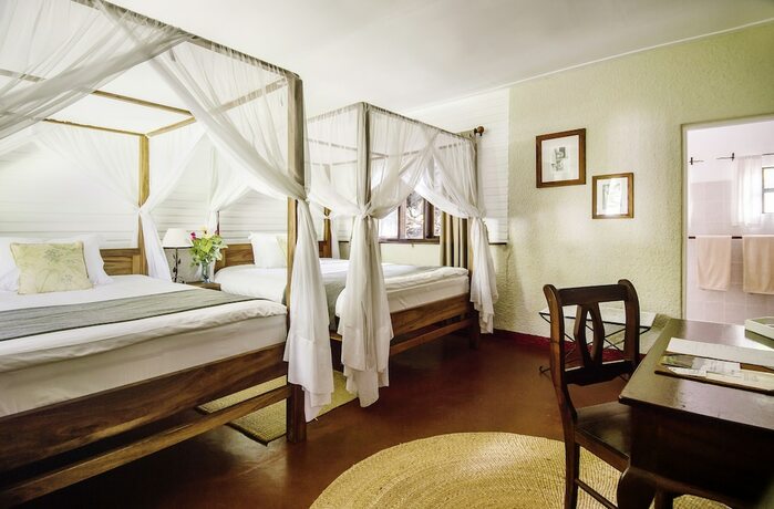 Imagen de la habitación del Hotel Mount Meru Game Lodge. Foto 18