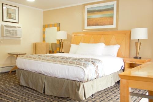 Imagen general del Hotel Mount Royal Inn. Foto 4