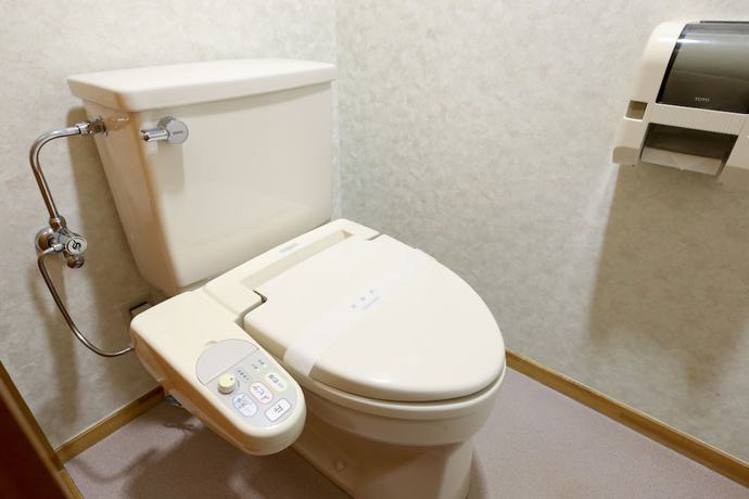 Imagen de la habitación del Hotel Mount Shiga. Foto 12