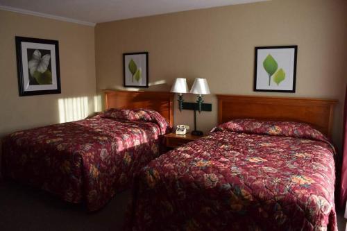 Imagen general del Hotel Mountain Aire Inn Sevierville - Pigeon Forge. Foto 4