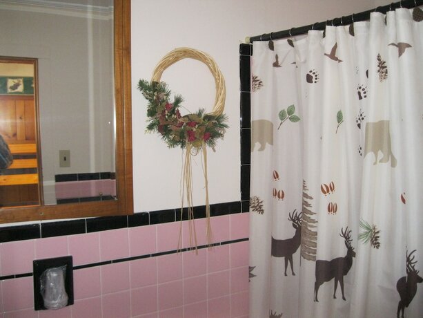 Imagen general del Hotel Mountain Brook Lodge. Foto 3